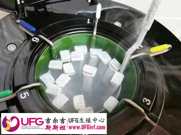 冻胚保存时间久