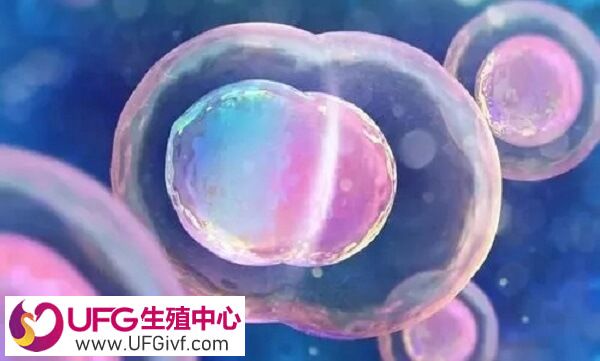等级低的囊胚可以移植