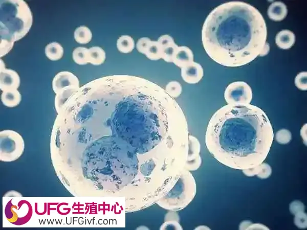 移植前后吃松康泉胶囊能提高成功率