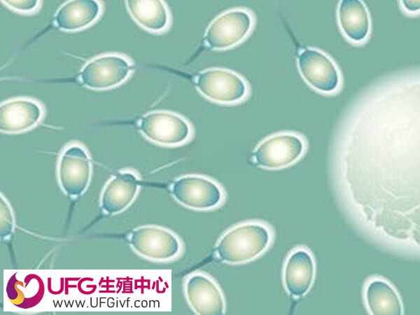 精子质量好坏决定怀孕的成功率