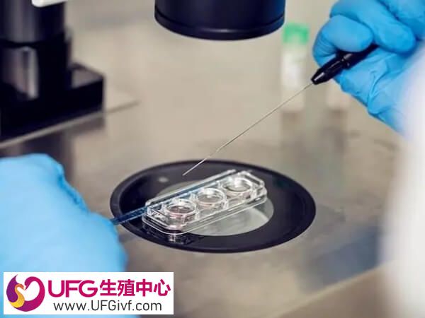 促排卵治疗能诱导多个卵泡同时发育成熟